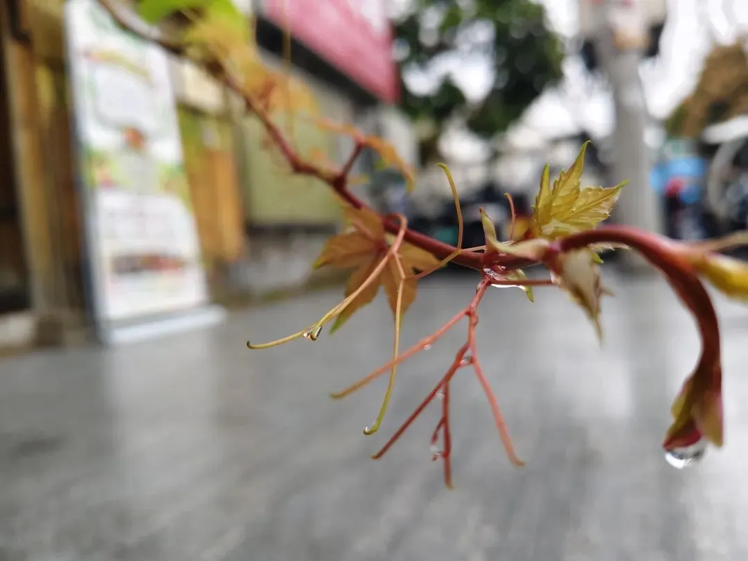 高一的孩子,为什么比初三还累?-第4张图片-四季读书网