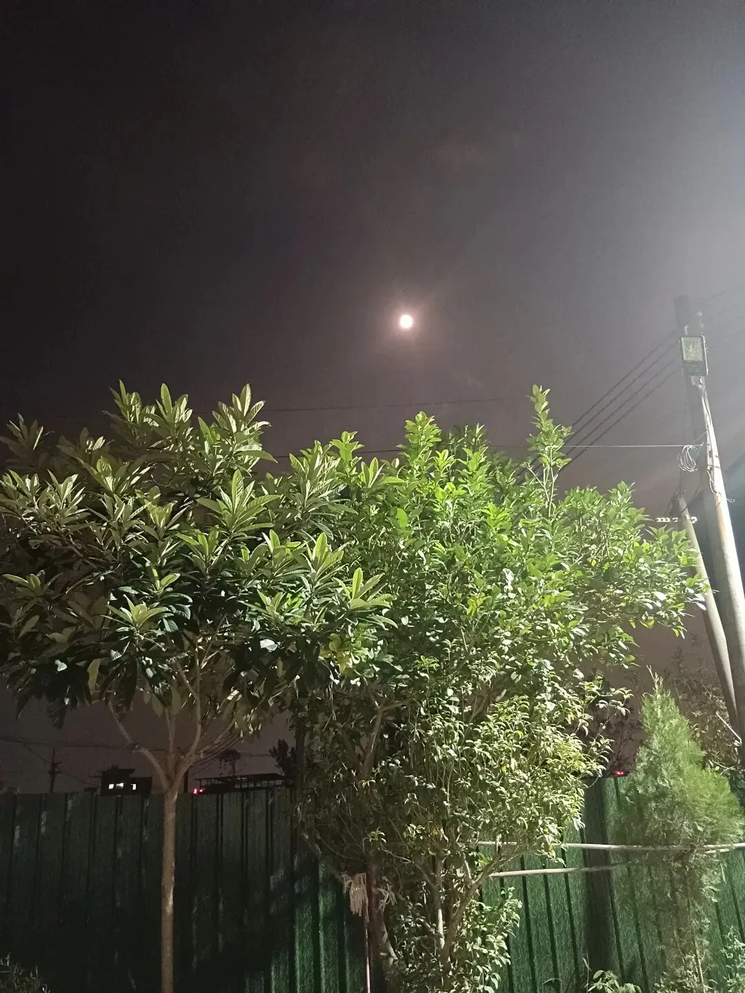 初三家长的小进步:没有骂那个不打招呼就先回家的小孩-第6张图片-四季读书网