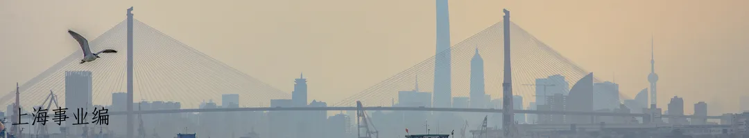 最后一批 | 27上海选调真题纸质版免费领,历年选调真题、市考题、专项题、模拟卷全覆盖!-第8张图片-四季读书网