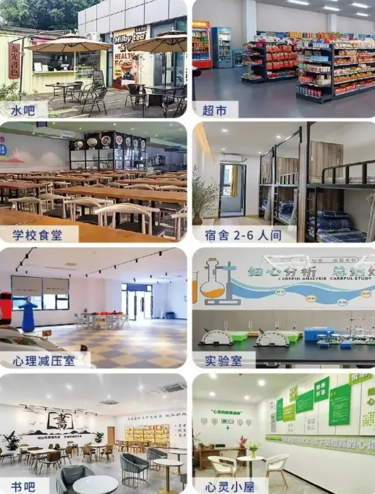重庆点划高考学校真实口碑|高三全托辅导 / 艺考文化课小班集训教学-第5张图片-四季读书网 重庆点划高考学校真实口碑|高三全托辅导 / 艺考文化课小班集训教学-第5张图片-四季读书网