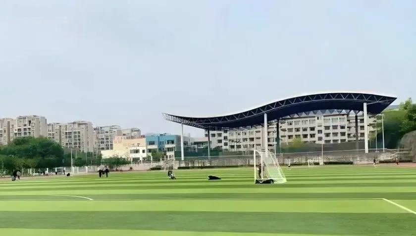 高考400多分,侄女放弃民办本科选了公办大专,一年后全家才懂她-第1张图片-四季读书网