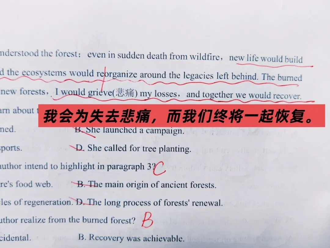 高三安徽省十联考试卷思考总结分享-第1张图片-四季读书网