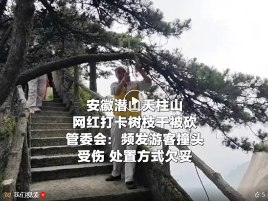 2027年高考作文针对性阅读资料:报刊时评文精选(057)-第5张图片-四季读书网 2027年高考作文针对性阅读资料:报刊时评文精选(057)-第5张图片-四季读书网