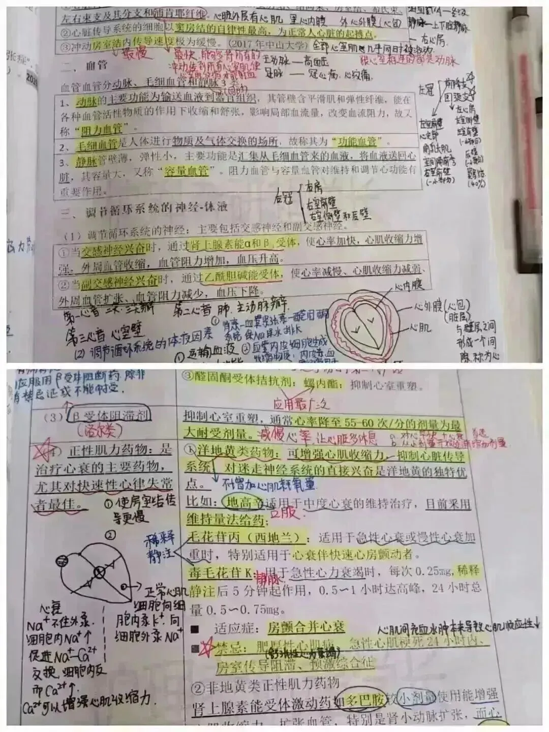冲刺80天~超学长27护综二轮讲真题进行中~三轮带背、押题班课程报名中-第140张图片-四季读书网 冲刺80天~超学长27护综二轮讲真题进行中~三轮带背、押题班课程报名中-第140张图片-四季读书网