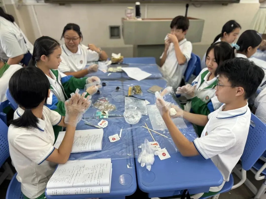 巧手做月饼,月圆暖夏阳|初三(10)夏阳班中秋手作活动-第31张图片-四季读书网