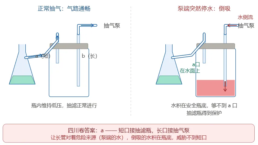 【高考备考】2026年高考化学中的减压过滤-第12张图片-四季读书网 【高考备考】2026年高考化学中的减压过滤-第12张图片-四季读书网