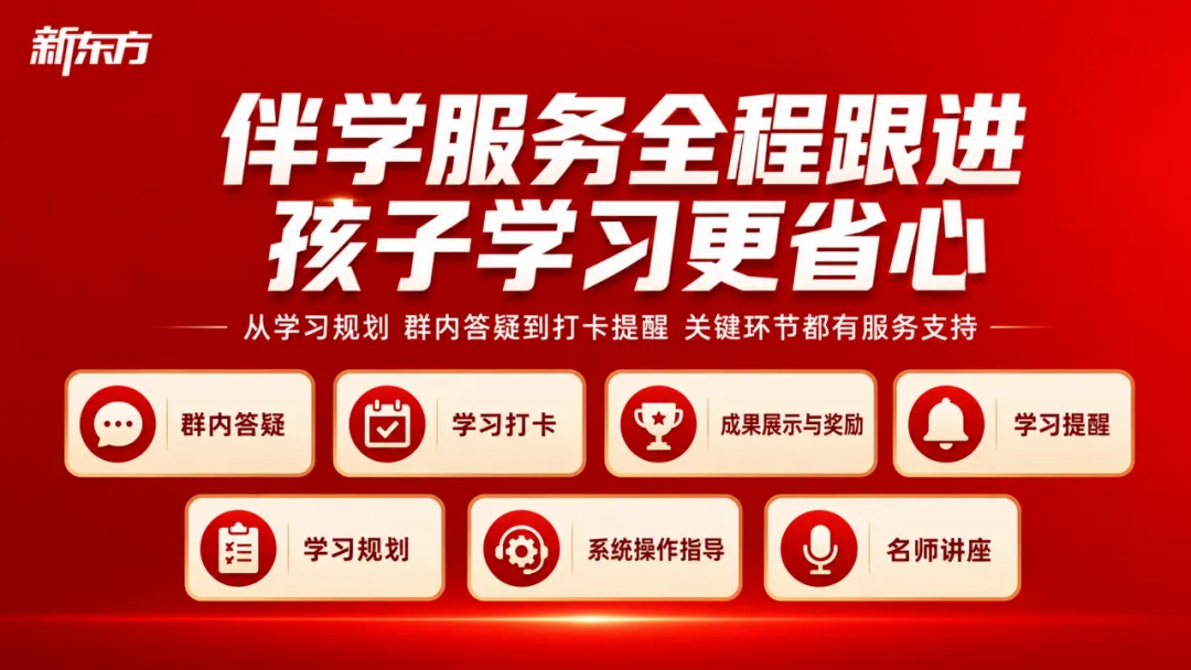 把五年级女儿英语拉到高考水平:做对了第一年,后面真不怎么费妈-第37张图片-四季读书网