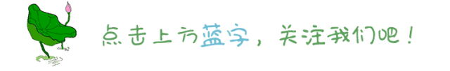 新高考选科避坑!物化生/物化地/物化政/政史地,4大组合适配人群精准拆解-第1张图片-四季读书网