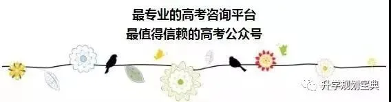 新高考选科避坑!物化生/物化地/物化政/政史地,4大组合适配人群精准拆解-第3张图片-四季读书网