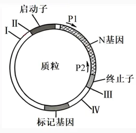 刷完10年真题才发现:限制酶的坑,命题人只挖在这6个地方-第2张图片-四季读书网 刷完10年真题才发现:限制酶的坑,命题人只挖在这6个地方-第2张图片-四季读书网