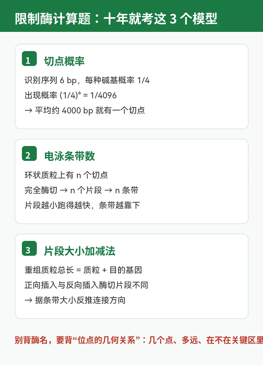 刷完10年真题才发现:限制酶的坑,命题人只挖在这6个地方-第3张图片-四季读书网 刷完10年真题才发现:限制酶的坑,命题人只挖在这6个地方-第3张图片-四季读书网