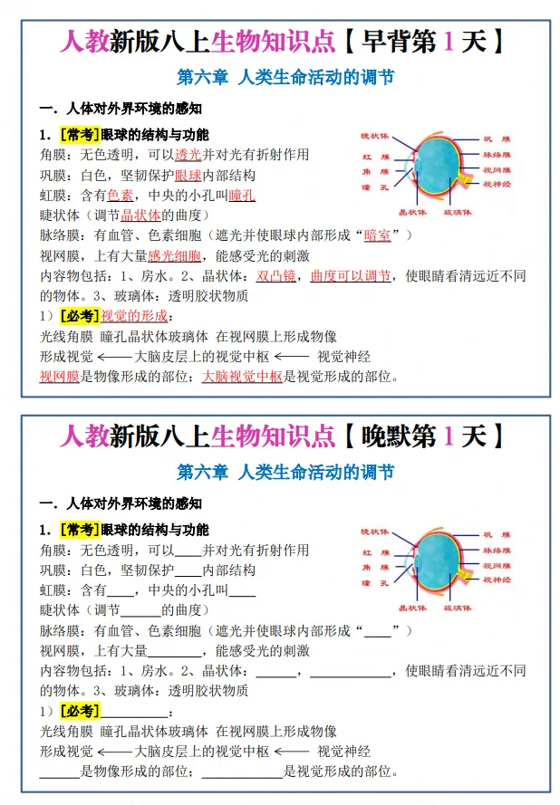 初二|八年级上册生物《新版人教版重点知识点每日默写晨读晚默小纸条》,可打印-第1张图片-四季读书网 初二|八年级上册生物《新版人教版重点知识点每日默写晨读晚默小纸条》,可打印-第1张图片-四季读书网