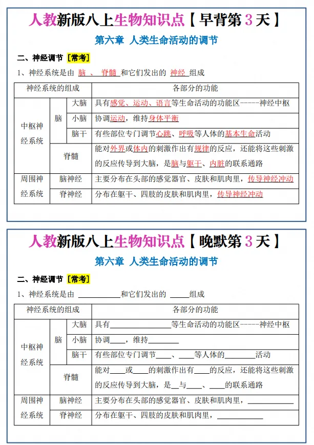 初二|八年级上册生物《新版人教版重点知识点每日默写晨读晚默小纸条》,可打印-第2张图片-四季读书网 初二|八年级上册生物《新版人教版重点知识点每日默写晨读晚默小纸条》,可打印-第2张图片-四季读书网