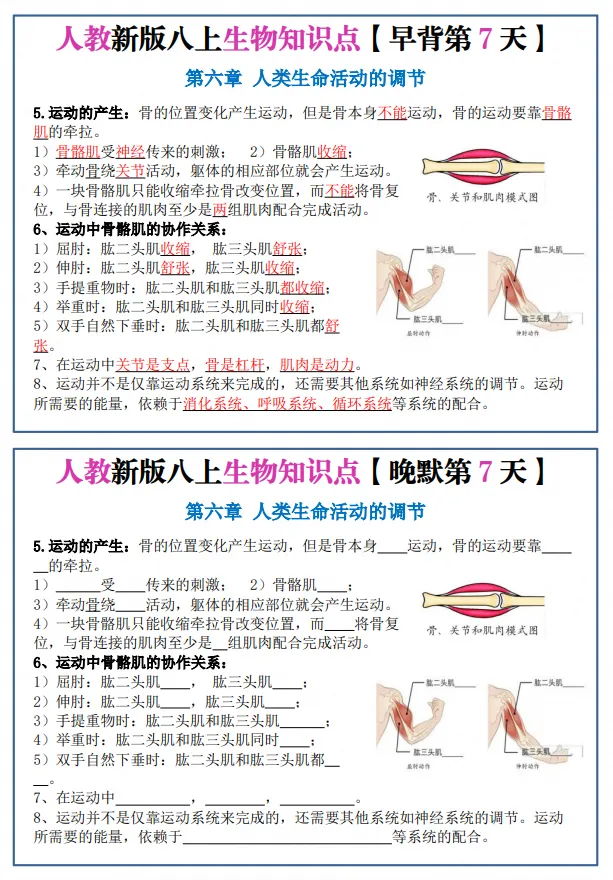 初二|八年级上册生物《新版人教版重点知识点每日默写晨读晚默小纸条》,可打印-第4张图片-四季读书网 初二|八年级上册生物《新版人教版重点知识点每日默写晨读晚默小纸条》,可打印-第4张图片-四季读书网