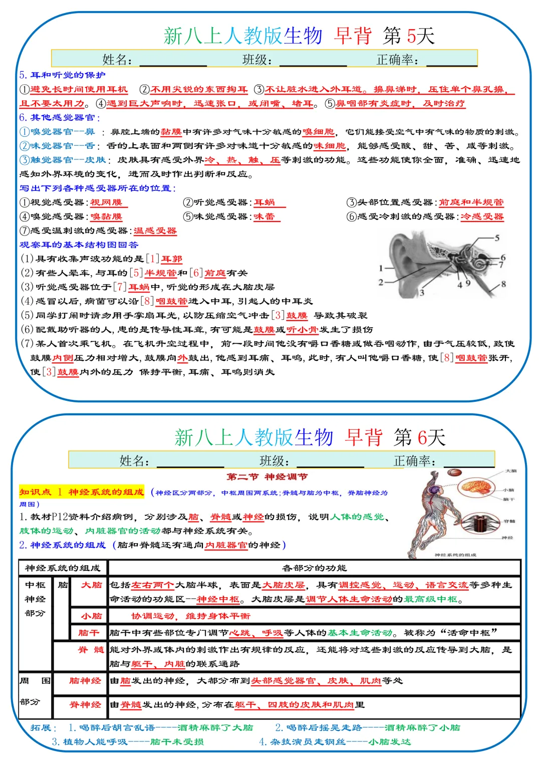 初二生物分水岭!35天知识点晨背,每天几分钟!稳稳拿下基础满分-第3张图片-四季读书网 初二生物分水岭!35天知识点晨背,每天几分钟!稳稳拿下基础满分-第3张图片-四季读书网