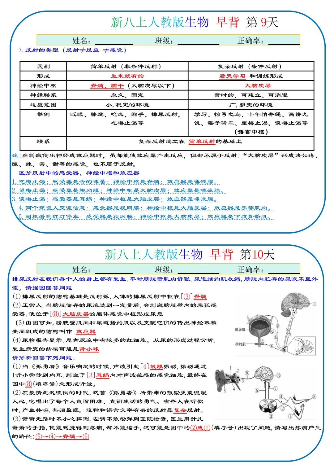 初二生物分水岭!35天知识点晨背,每天几分钟!稳稳拿下基础满分-第5张图片-四季读书网 初二生物分水岭!35天知识点晨背,每天几分钟!稳稳拿下基础满分-第5张图片-四季读书网