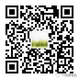 初一男孩不肯上学电梯僵持,女儿的一番话,点醒了我-第6张图片-四季读书网 初一男孩不肯上学电梯僵持,女儿的一番话,点醒了我-第6张图片-四季读书网