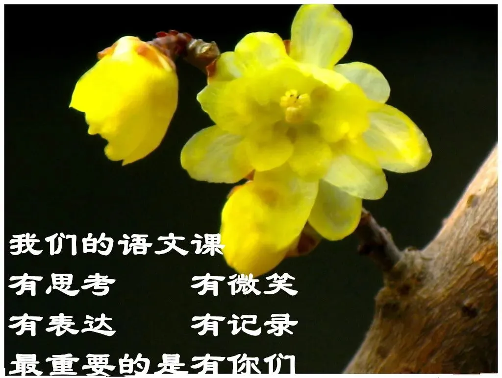 真题研训2:2026年全国一卷-第1张图片-四季读书网