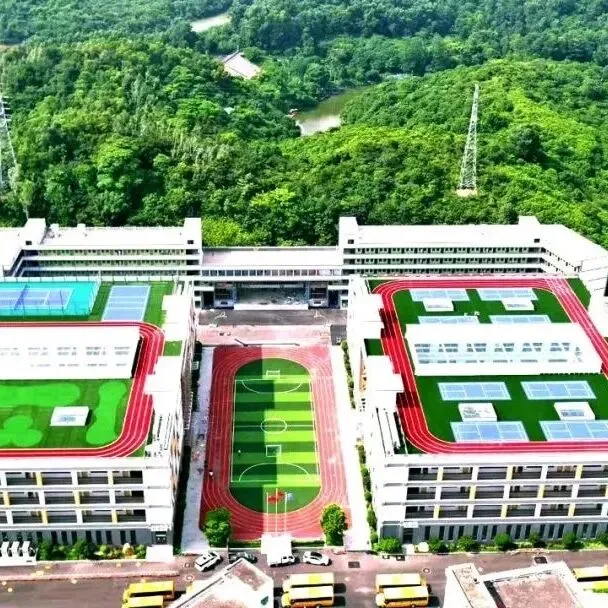 深圳中考|新增一万学位-第14张图片-四季读书网 深圳中考|新增一万学位-第14张图片-四季读书网