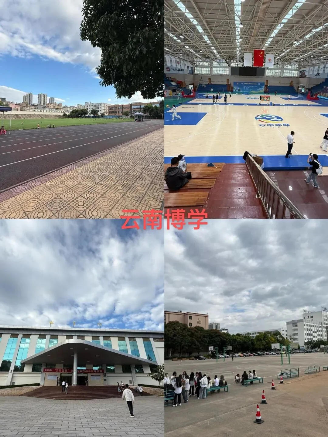 2027年云南春季高考:会考分多少,能报什么学校?会考多少分能上公办?-第14张图片-四季读书网