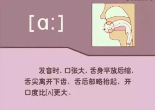 中职生备考高职高考英语:48个英语音标读音示范-第2张图片-四季读书网 中职生备考高职高考英语:48个英语音标读音示范-第2张图片-四季读书网