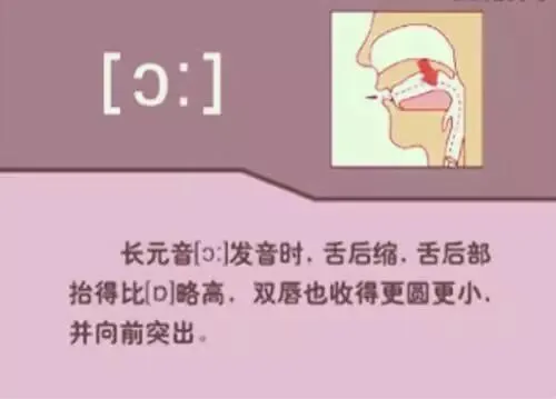 中职生备考高职高考英语:48个英语音标读音示范-第3张图片-四季读书网 中职生备考高职高考英语:48个英语音标读音示范-第3张图片-四季读书网
