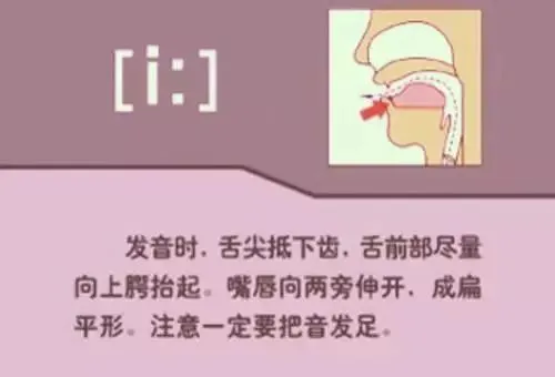 中职生备考高职高考英语:48个英语音标读音示范-第4张图片-四季读书网 中职生备考高职高考英语:48个英语音标读音示范-第4张图片-四季读书网