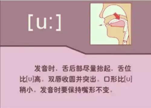 中职生备考高职高考英语:48个英语音标读音示范-第5张图片-四季读书网 中职生备考高职高考英语:48个英语音标读音示范-第5张图片-四季读书网