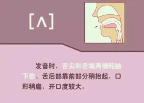 中职生备考高职高考英语:48个英语音标读音示范-第6张图片-四季读书网 中职生备考高职高考英语:48个英语音标读音示范-第6张图片-四季读书网