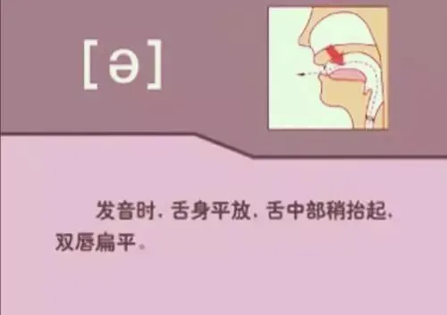 中职生备考高职高考英语:48个英语音标读音示范-第7张图片-四季读书网 中职生备考高职高考英语:48个英语音标读音示范-第7张图片-四季读书网