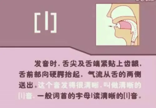 中职生备考高职高考英语:48个英语音标读音示范-第8张图片-四季读书网 中职生备考高职高考英语:48个英语音标读音示范-第8张图片-四季读书网