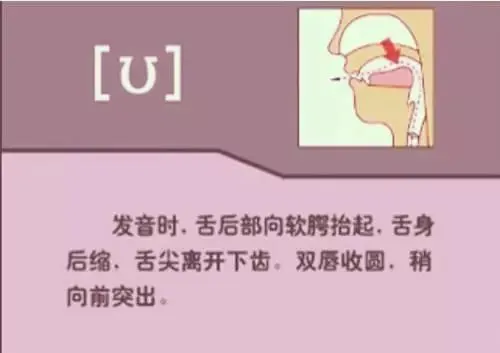 中职生备考高职高考英语:48个英语音标读音示范-第9张图片-四季读书网 中职生备考高职高考英语:48个英语音标读音示范-第9张图片-四季读书网