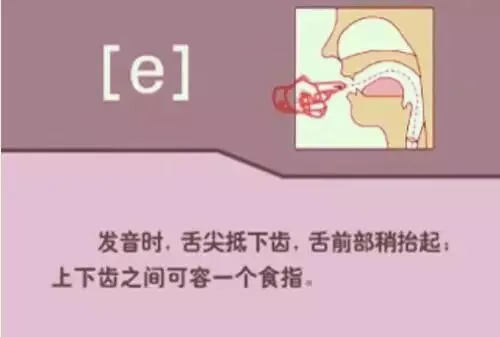 中职生备考高职高考英语:48个英语音标读音示范-第11张图片-四季读书网 中职生备考高职高考英语:48个英语音标读音示范-第11张图片-四季读书网