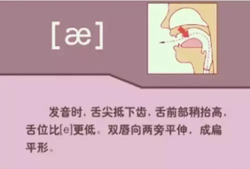 中职生备考高职高考英语:48个英语音标读音示范-第12张图片-四季读书网 中职生备考高职高考英语:48个英语音标读音示范-第12张图片-四季读书网