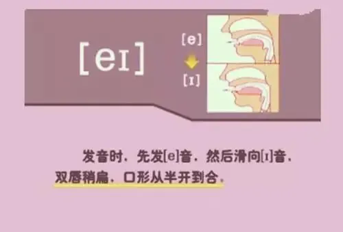 中职生备考高职高考英语:48个英语音标读音示范-第13张图片-四季读书网 中职生备考高职高考英语:48个英语音标读音示范-第13张图片-四季读书网