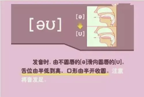中职生备考高职高考英语:48个英语音标读音示范-第16张图片-四季读书网 中职生备考高职高考英语:48个英语音标读音示范-第16张图片-四季读书网