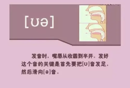 中职生备考高职高考英语:48个英语音标读音示范-第21张图片-四季读书网 中职生备考高职高考英语:48个英语音标读音示范-第21张图片-四季读书网