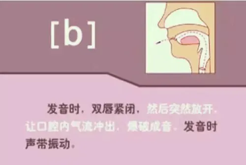 中职生备考高职高考英语:48个英语音标读音示范-第22张图片-四季读书网 中职生备考高职高考英语:48个英语音标读音示范-第22张图片-四季读书网