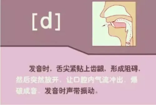 中职生备考高职高考英语:48个英语音标读音示范-第23张图片-四季读书网 中职生备考高职高考英语:48个英语音标读音示范-第23张图片-四季读书网