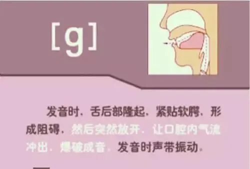 中职生备考高职高考英语:48个英语音标读音示范-第24张图片-四季读书网 中职生备考高职高考英语:48个英语音标读音示范-第24张图片-四季读书网
