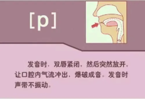 中职生备考高职高考英语:48个英语音标读音示范-第25张图片-四季读书网 中职生备考高职高考英语:48个英语音标读音示范-第25张图片-四季读书网