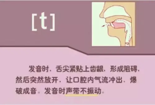 中职生备考高职高考英语:48个英语音标读音示范-第26张图片-四季读书网 中职生备考高职高考英语:48个英语音标读音示范-第26张图片-四季读书网