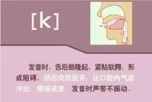 中职生备考高职高考英语:48个英语音标读音示范-第27张图片-四季读书网 中职生备考高职高考英语:48个英语音标读音示范-第27张图片-四季读书网