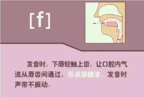 中职生备考高职高考英语:48个英语音标读音示范-第28张图片-四季读书网 中职生备考高职高考英语:48个英语音标读音示范-第28张图片-四季读书网