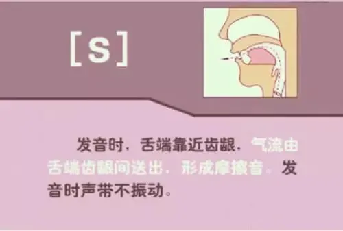 中职生备考高职高考英语:48个英语音标读音示范-第29张图片-四季读书网 中职生备考高职高考英语:48个英语音标读音示范-第29张图片-四季读书网