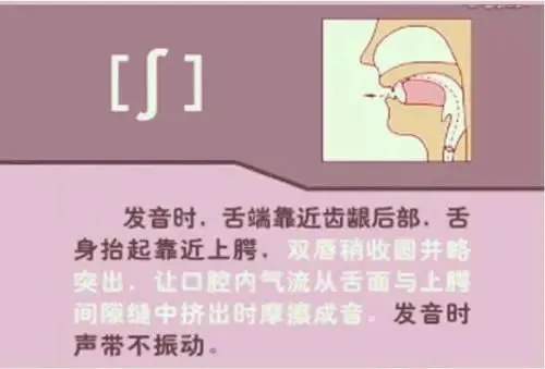 中职生备考高职高考英语:48个英语音标读音示范-第31张图片-四季读书网 中职生备考高职高考英语:48个英语音标读音示范-第31张图片-四季读书网