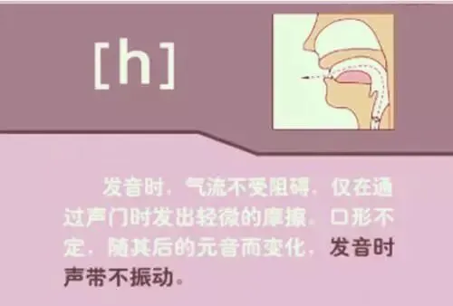中职生备考高职高考英语:48个英语音标读音示范-第32张图片-四季读书网 中职生备考高职高考英语:48个英语音标读音示范-第32张图片-四季读书网