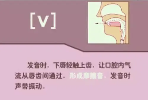 中职生备考高职高考英语:48个英语音标读音示范-第34张图片-四季读书网 中职生备考高职高考英语:48个英语音标读音示范-第34张图片-四季读书网