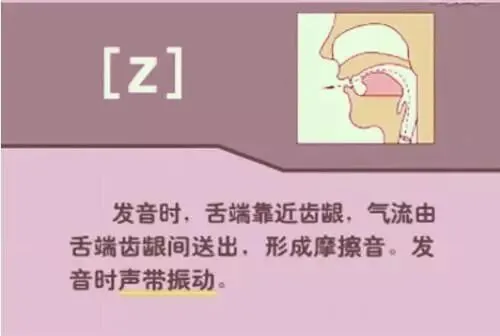 中职生备考高职高考英语:48个英语音标读音示范-第35张图片-四季读书网 中职生备考高职高考英语:48个英语音标读音示范-第35张图片-四季读书网