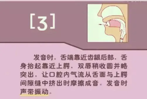中职生备考高职高考英语:48个英语音标读音示范-第37张图片-四季读书网 中职生备考高职高考英语:48个英语音标读音示范-第37张图片-四季读书网